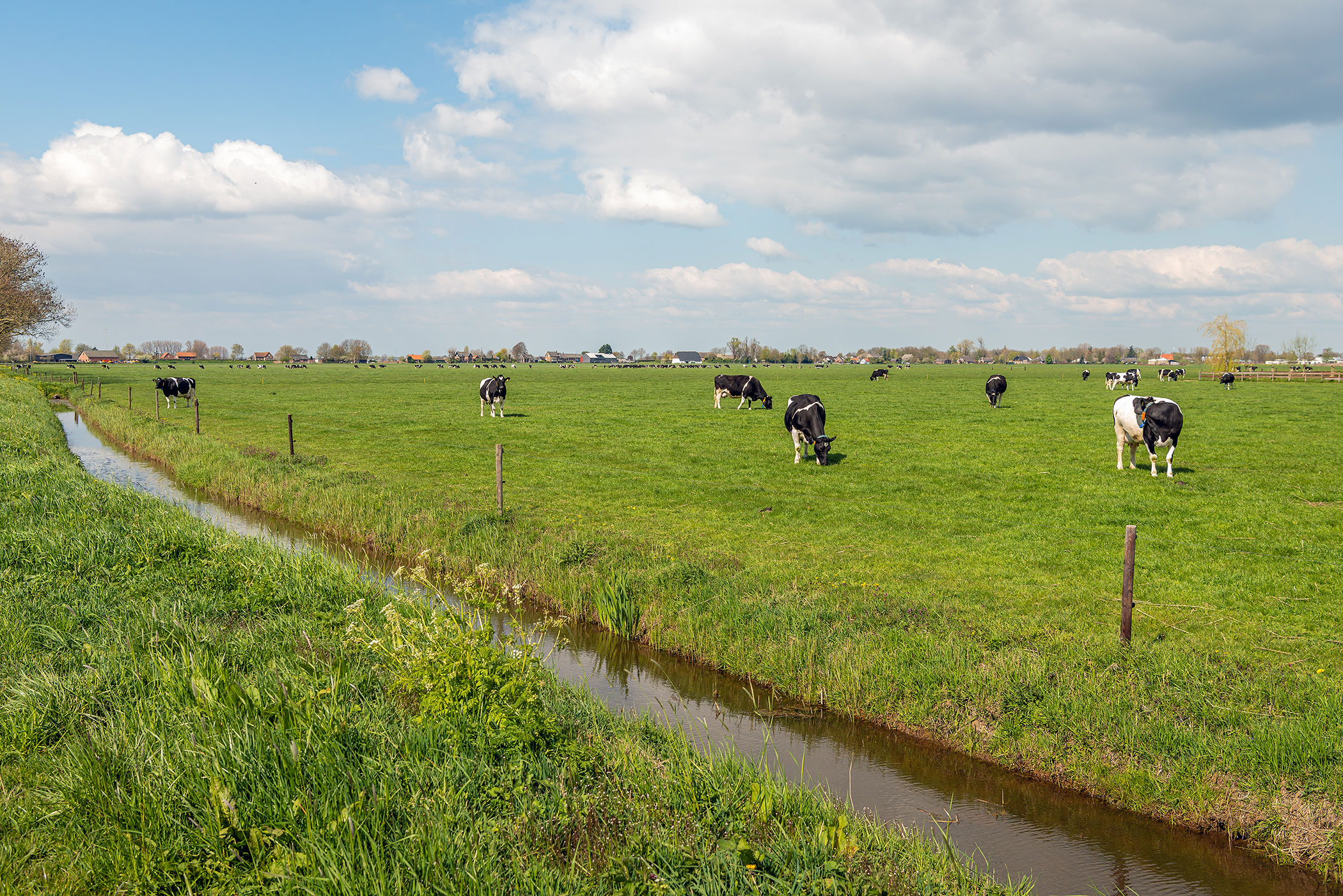 The Clean Water Act: Sackett v. Environmental Protection Agency